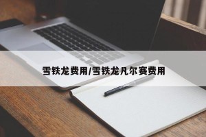 雪铁龙费用/雪铁龙凡尔赛费用