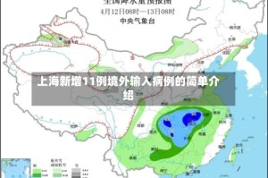 上海新增11例境外输入病例的简单介绍