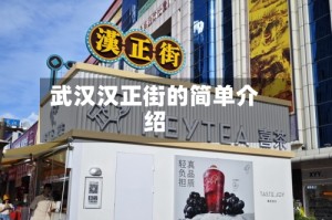武汉汉正街的简单介绍