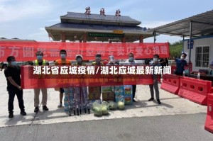湖北省应城疫情/湖北应城最新新闻