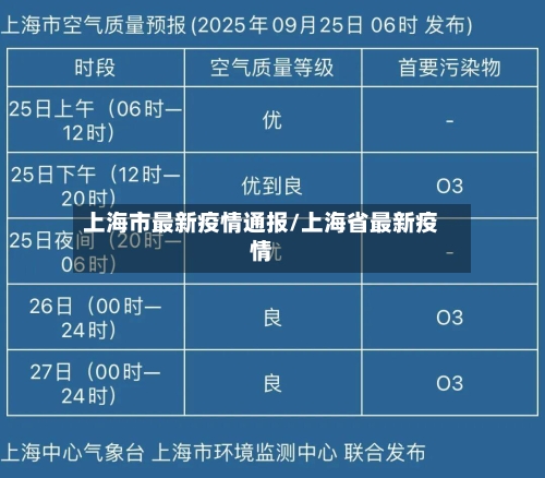 上海市最新疫情通报/上海省最新疫情-第3张图片