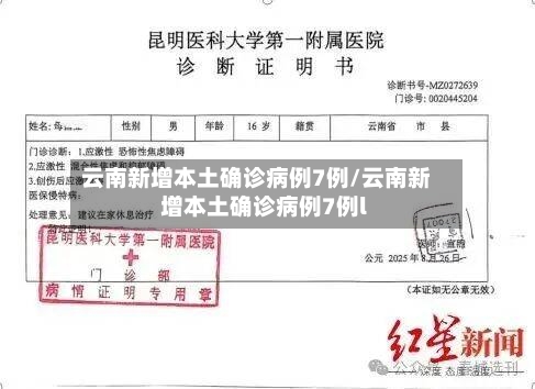 云南新增本土确诊病例7例/云南新增本土确诊病例7例l-第1张图片