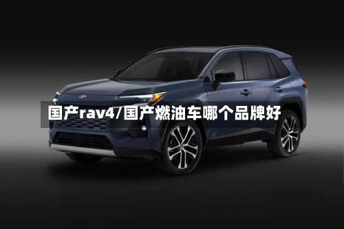 国产rav4/国产燃油车哪个品牌好-第1张图片