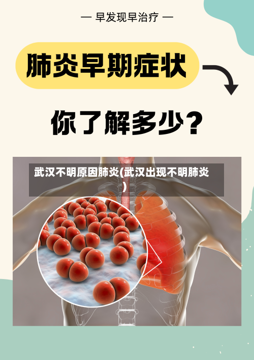 武汉不明原因肺炎(武汉出现不明肺炎)-第1张图片