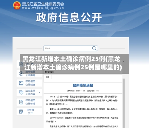 黑龙江新增本土确诊病例25例(黑龙江新增本土确诊病例25例是哪里的)-第1张图片