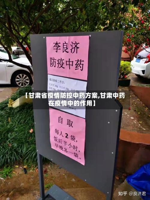 【甘肃省疫情防控中药方案,甘肃中药在疫情中的作用】-第1张图片