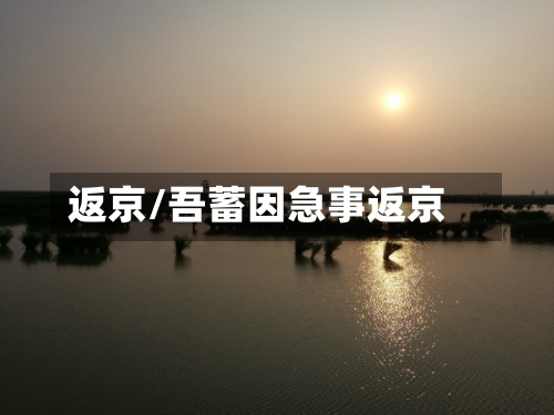 返京/吾蓄因急事返京-第3张图片