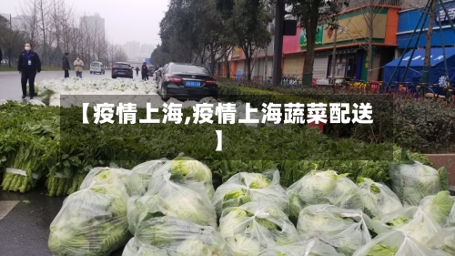 【疫情上海,疫情上海蔬菜配送】-第1张图片
